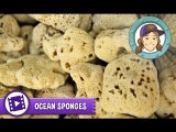What Are Kitchen Sponges Made Of?
